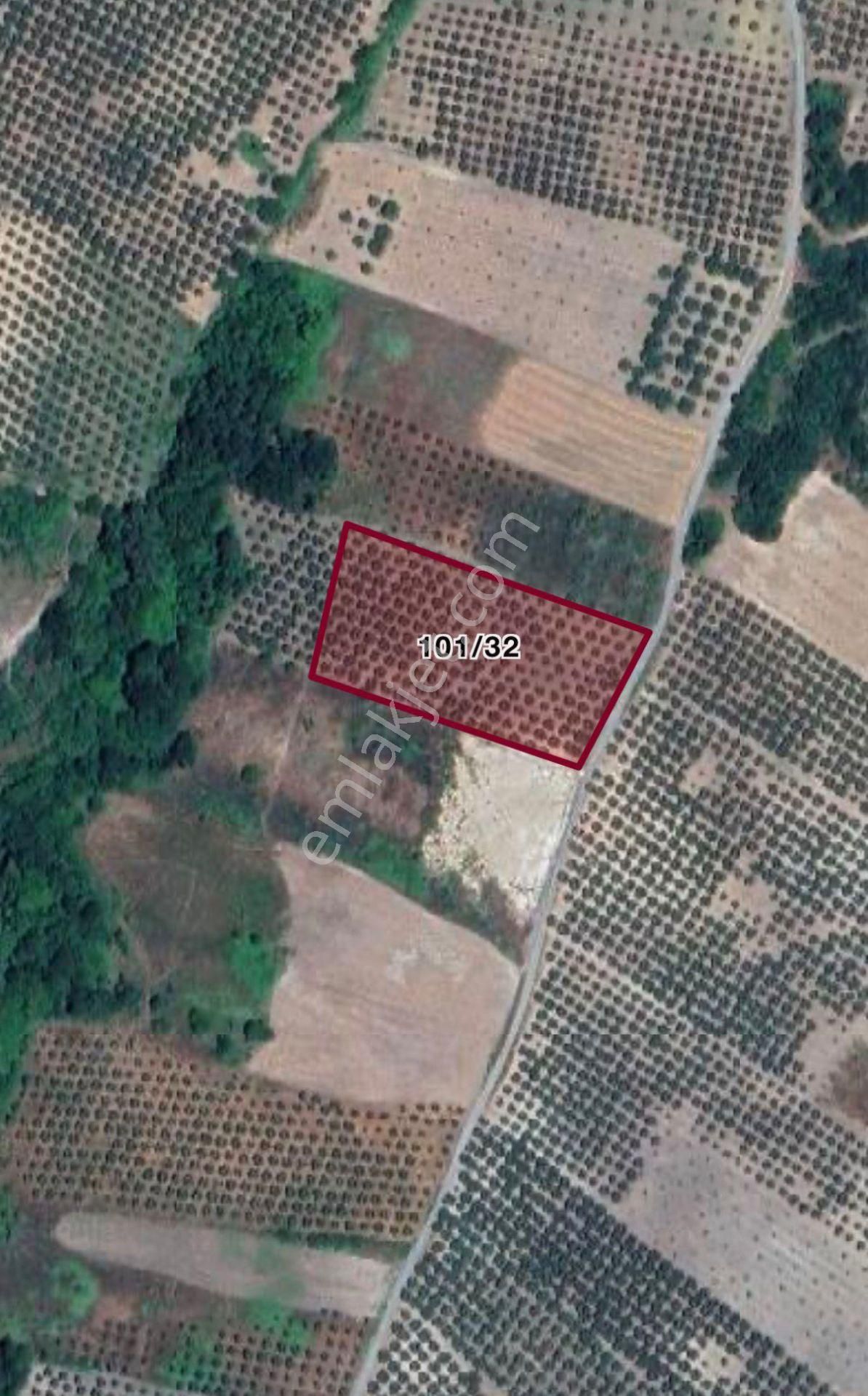 My Ekipten Mudanyada Tam Yatırımlık Arazi