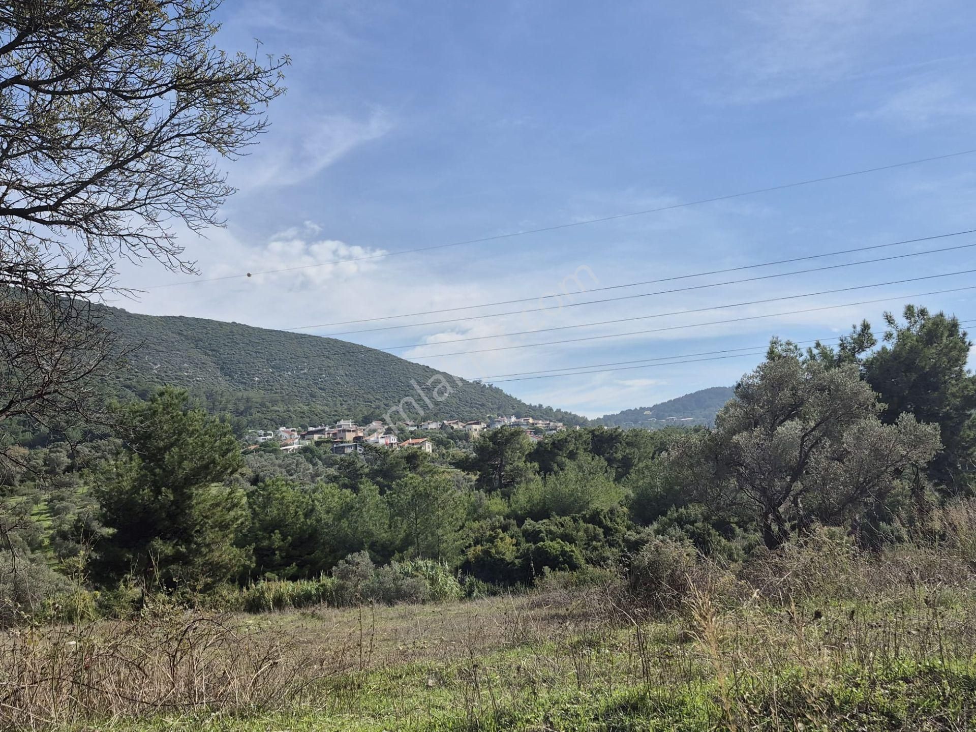 Bölgenin En Prestijli Sitesinde, Geniş Bahçeli, Müstakil Villa Fırsatı! (3+1, Havuzlu) - Görsel 15