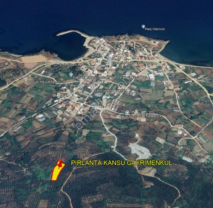 Balıkesir Bandırma Sahil Yenice Mah. 2.195 M2 Satılık Zeytinlik Deniz Manzaralı Merkeze Yakın - Görsel 4