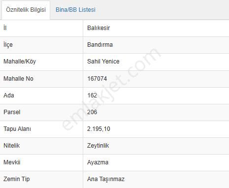 Balıkesir Bandırma Sahil Yenice Mah. 2.195 M2 Satılık Zeytinlik Deniz Manzaralı Merkeze Yakın