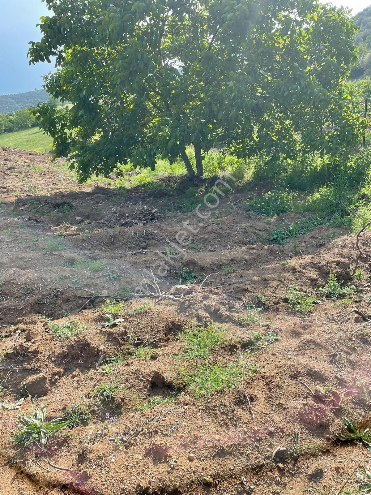 Expert'ten Yenişehir Marmaracık'ta 6.780 M² Satılık Tarla - Görsel 12