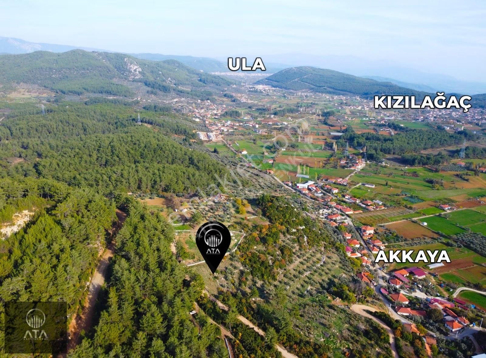 Ata'dan Kızılağaç'ta Geniş Vadi Manzaralı 2 Dönüm Fırsat Tarla - Görsel 12