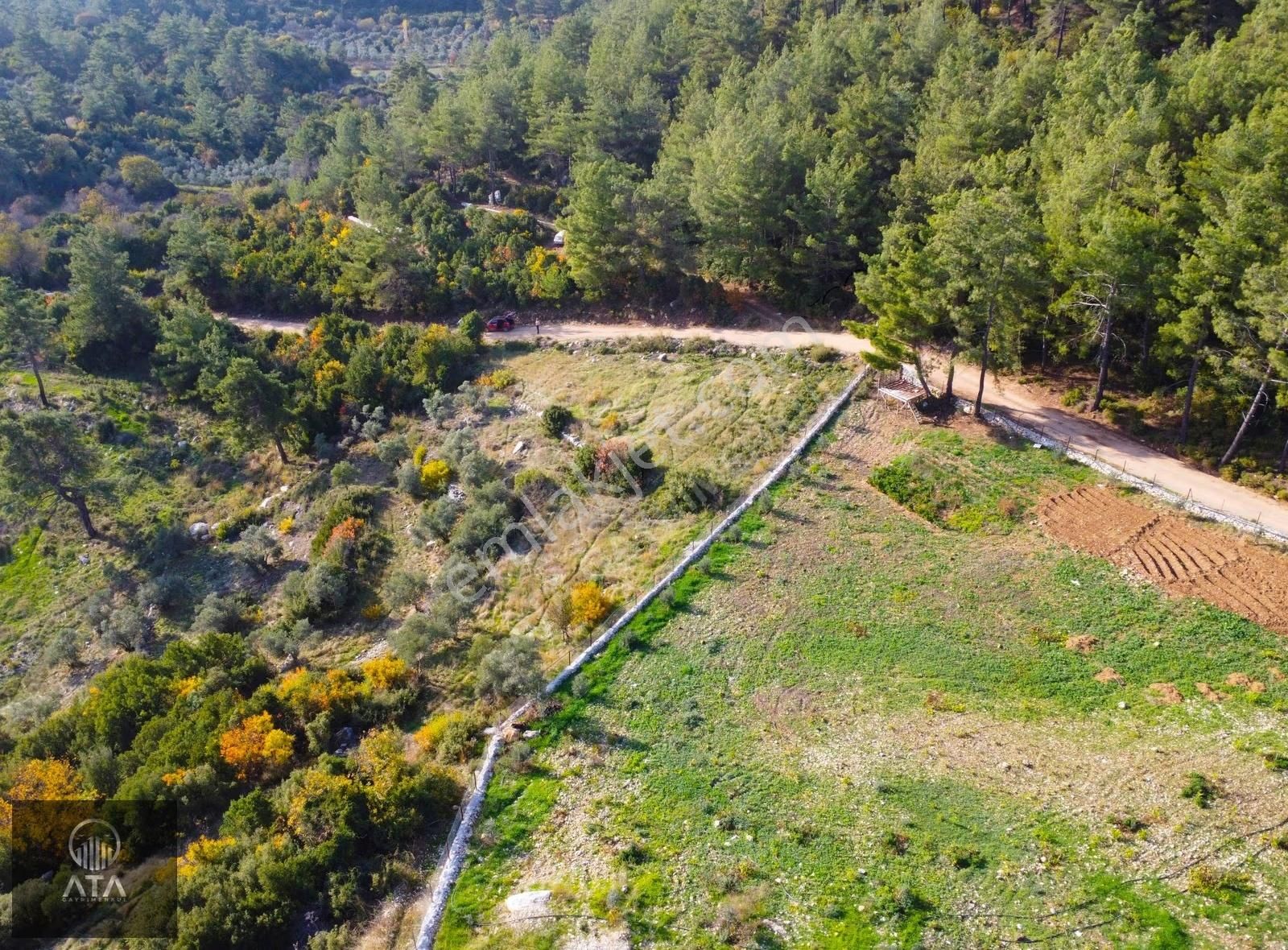 Ata'dan Kızılağaç'ta Geniş Vadi Manzaralı 2 Dönüm Fırsat Tarla - Görsel 13