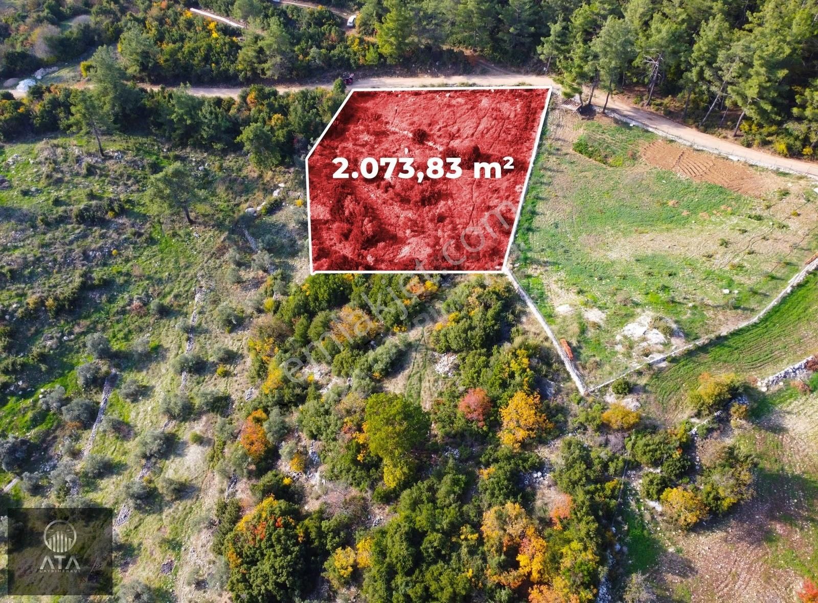 Ata'dan Kızılağaç'ta Geniş Vadi Manzaralı 2 Dönüm Fırsat Tarla - Görsel 4