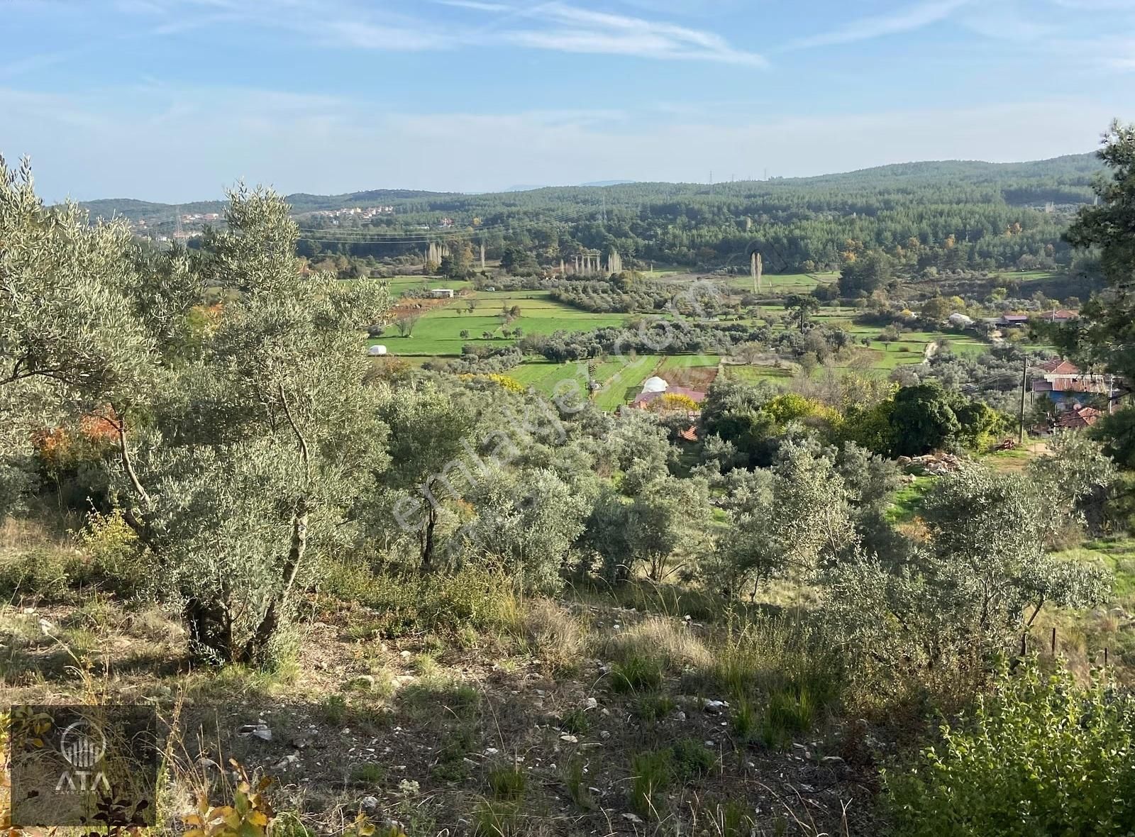 Ata'dan Kızılağaç'ta Geniş Vadi Manzaralı 2 Dönüm Fırsat Tarla - Görsel 9
