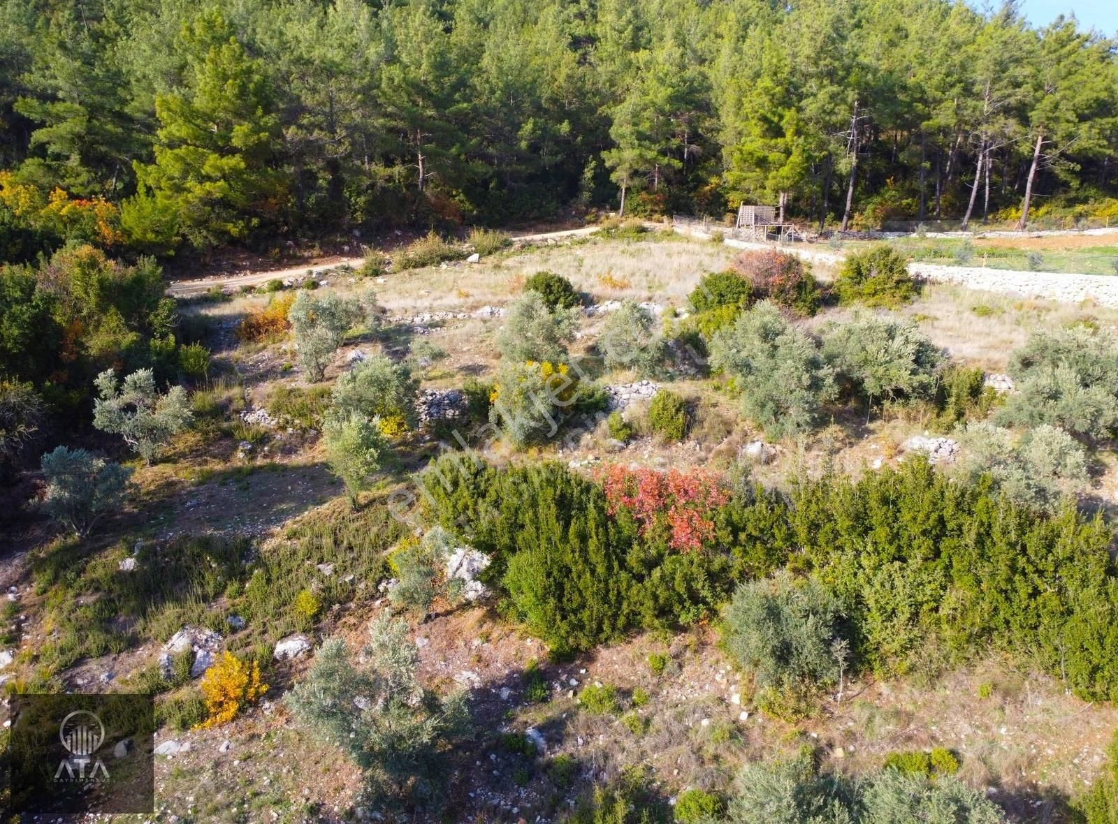 Ata'dan Kızılağaç'ta Geniş Vadi Manzaralı 2 Dönüm Fırsat Tarla - Görsel 7