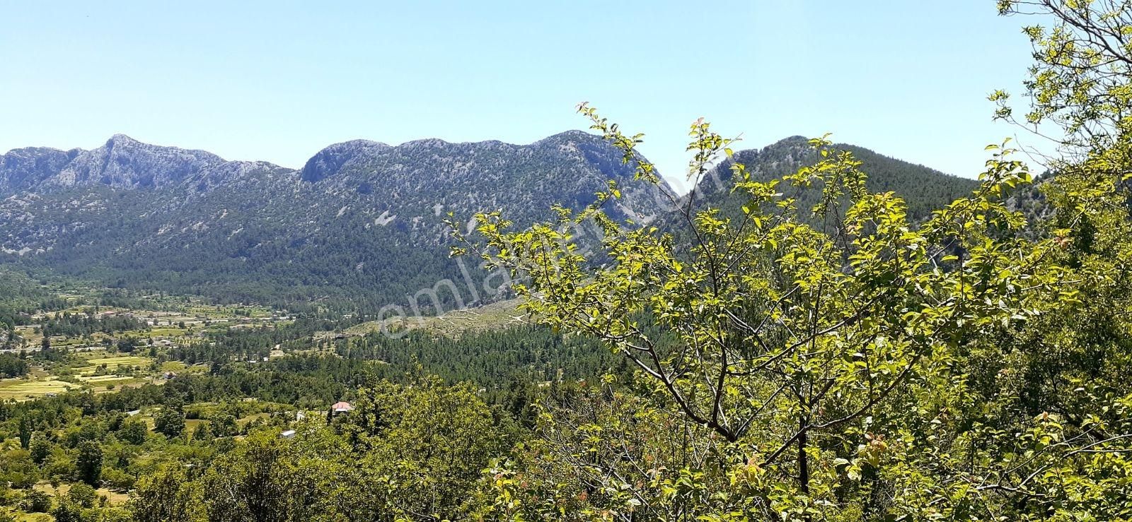 Akseki Erenyaka Mahallesinde Satılık Tarla Detaylar Açıklamada - Görsel 8