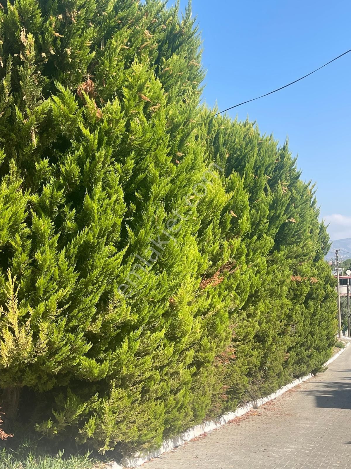 Soğucak'ta Müstakil 7+2 Masrafsız Satılık Villa - Görsel 20