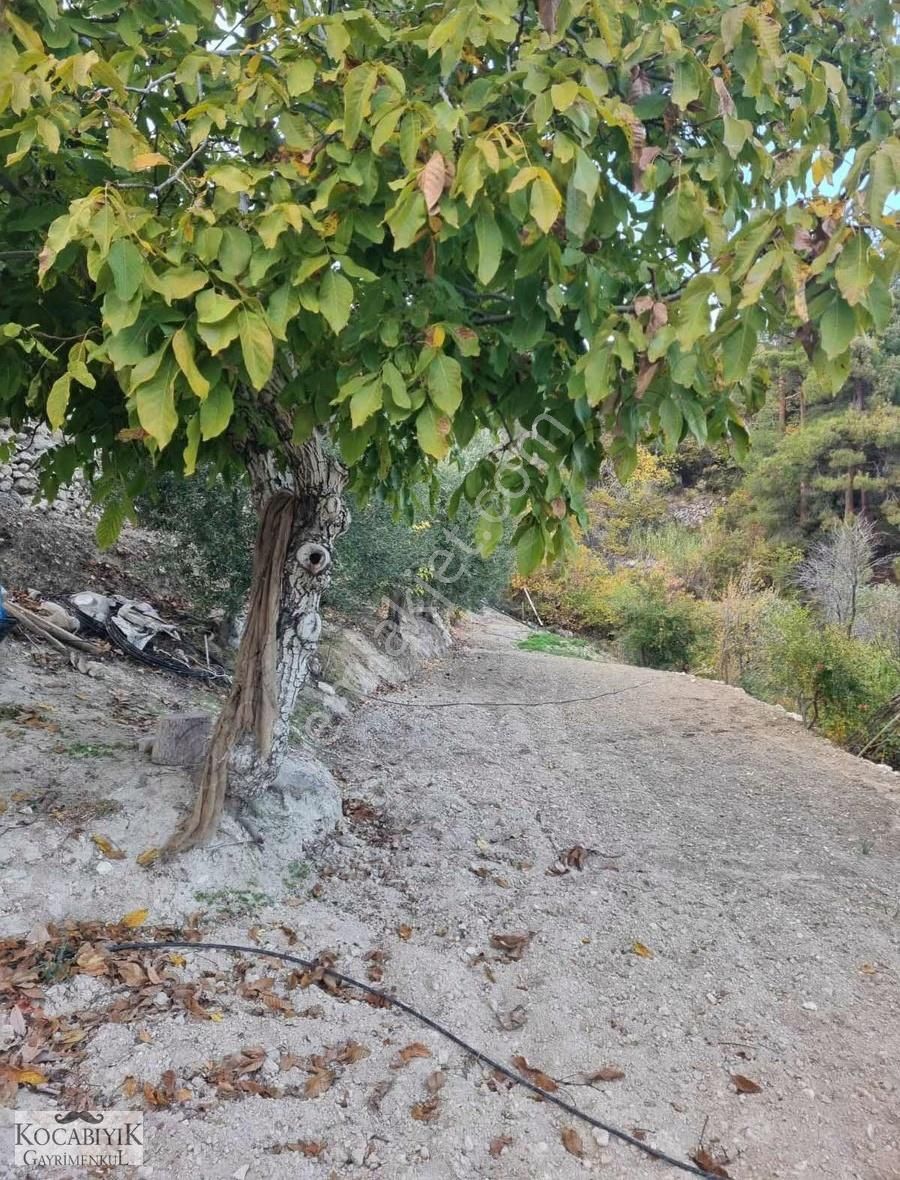 Kocabıyık Gayrimenkul'den Güney Karaağaçlı'da Zeytin Bahçesi - Görsel 4