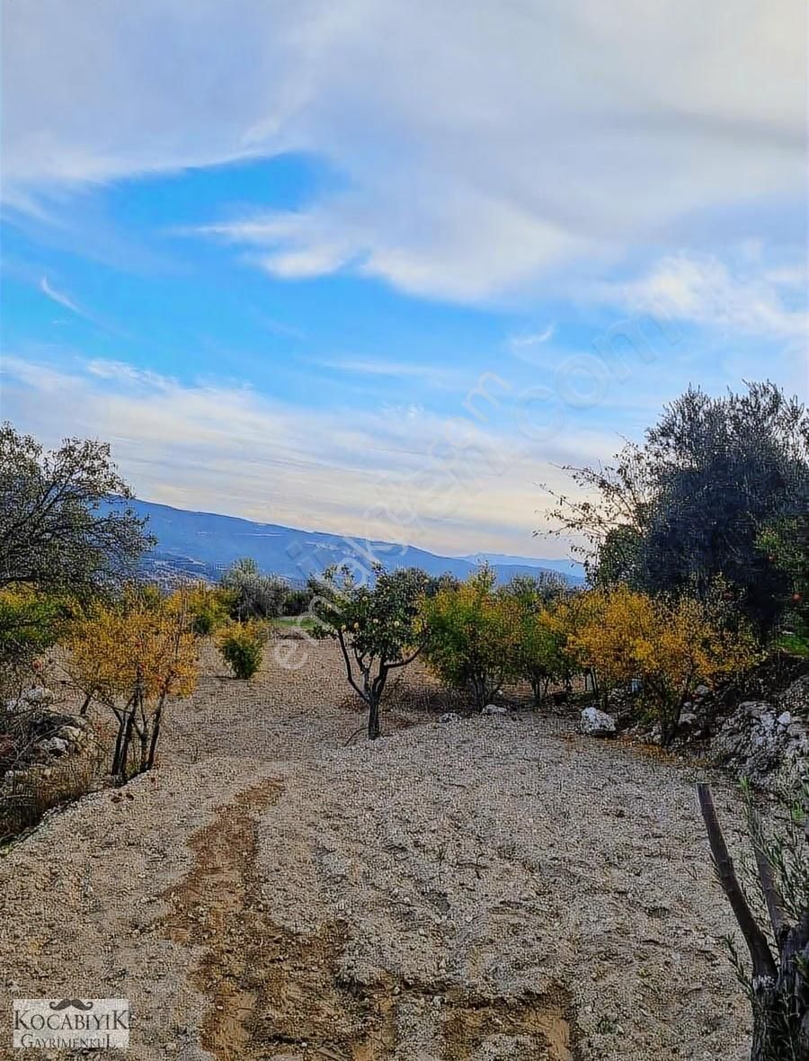 Kocabıyık Gayrimenkul'den Güney Karaağaçlı'da Zeytin Bahçesi - Görsel 13