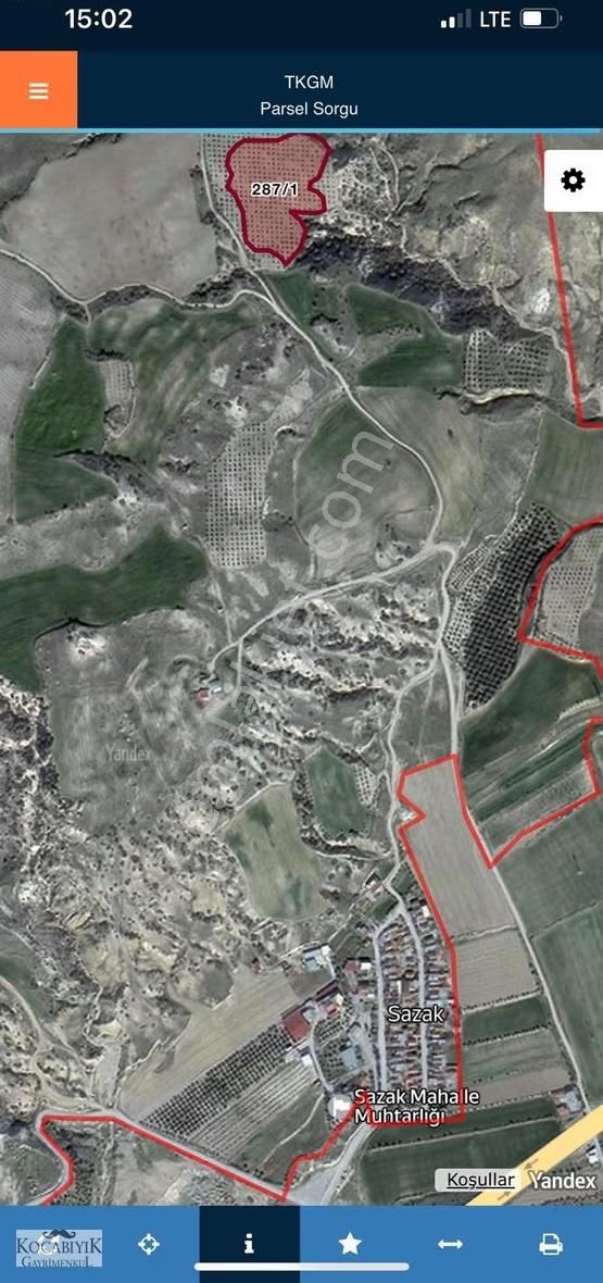 Kocabıyık Gayrimenkul'den Sarayköy Sazak Zeytin Bahçesi