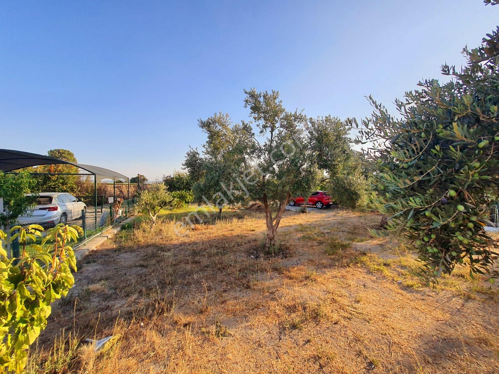 Bal Gayrimenkul- Altıntepe Gölbahçe Muhteşem Peyzaj 500 M2 Bahçe - Görsel 12