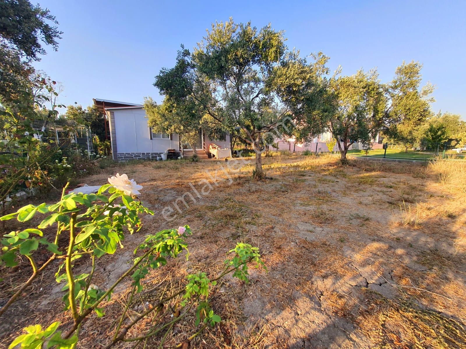 Bal Gayrimenkul- Altıntepe Gölbahçe Muhteşem Peyzaj 500 M2 Bahçe - Görsel 11