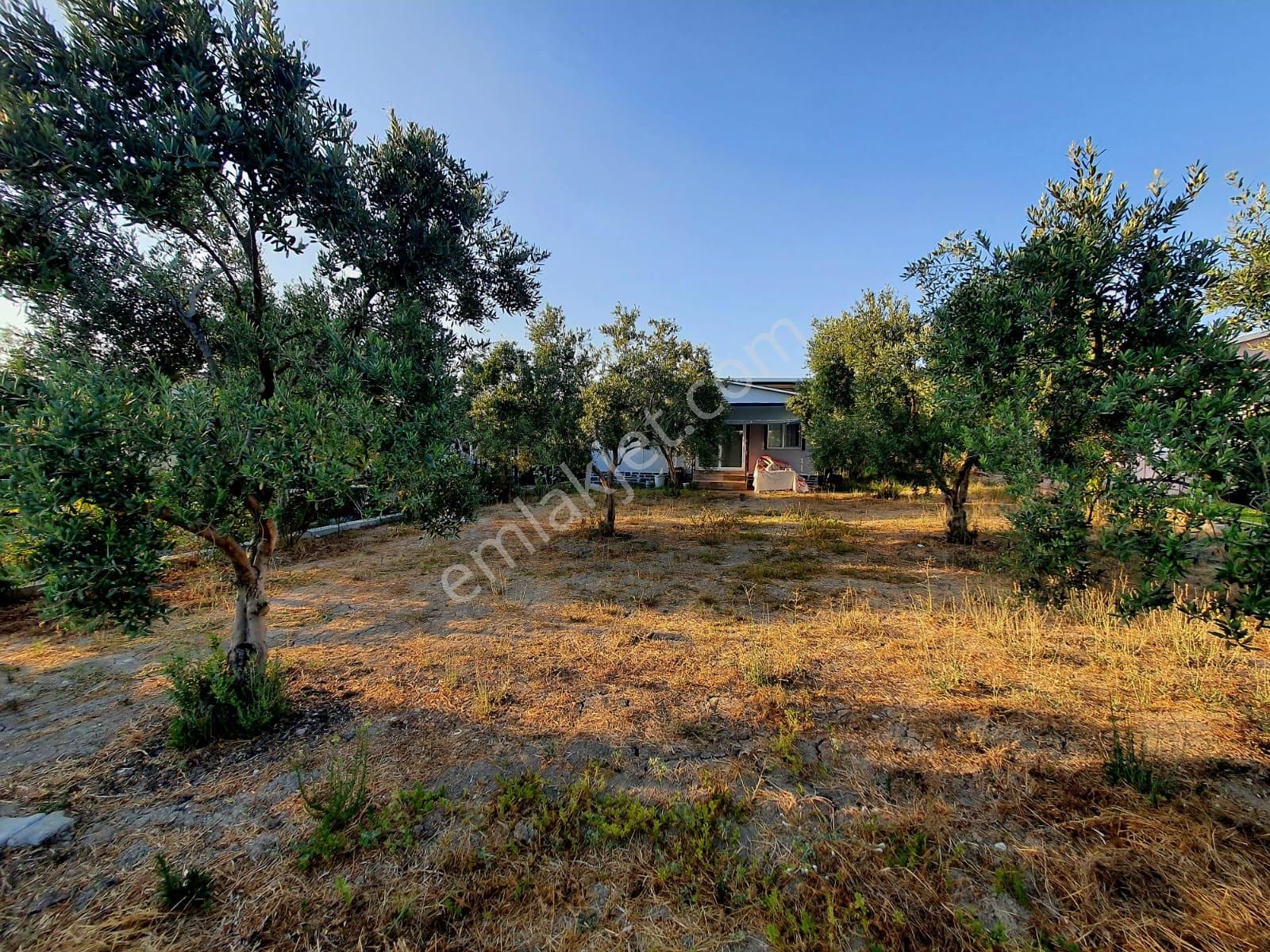 Bal Gayrimenkul- Altıntepe Gölbahçe Muhteşem Peyzaj 500 M2 Bahçe - Görsel 10