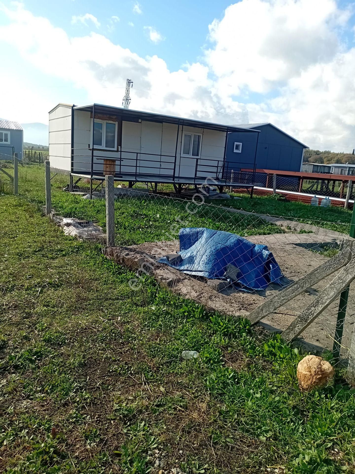 Bal Gayrimenkul- Çileme Yolu Üzerinde Muhteşem Konumda Bahçe - Görsel 2