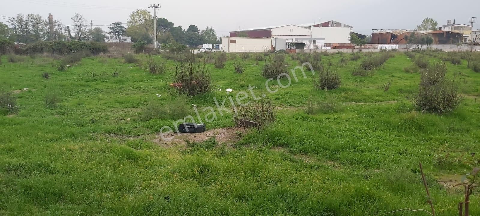 Yıldırım/vakıfköyde;lojistik,geri Dönüşüm Firmaları Ve Tır/kamyon/otobüs Garajı İçin Kiralık Arazi. - Görsel 2