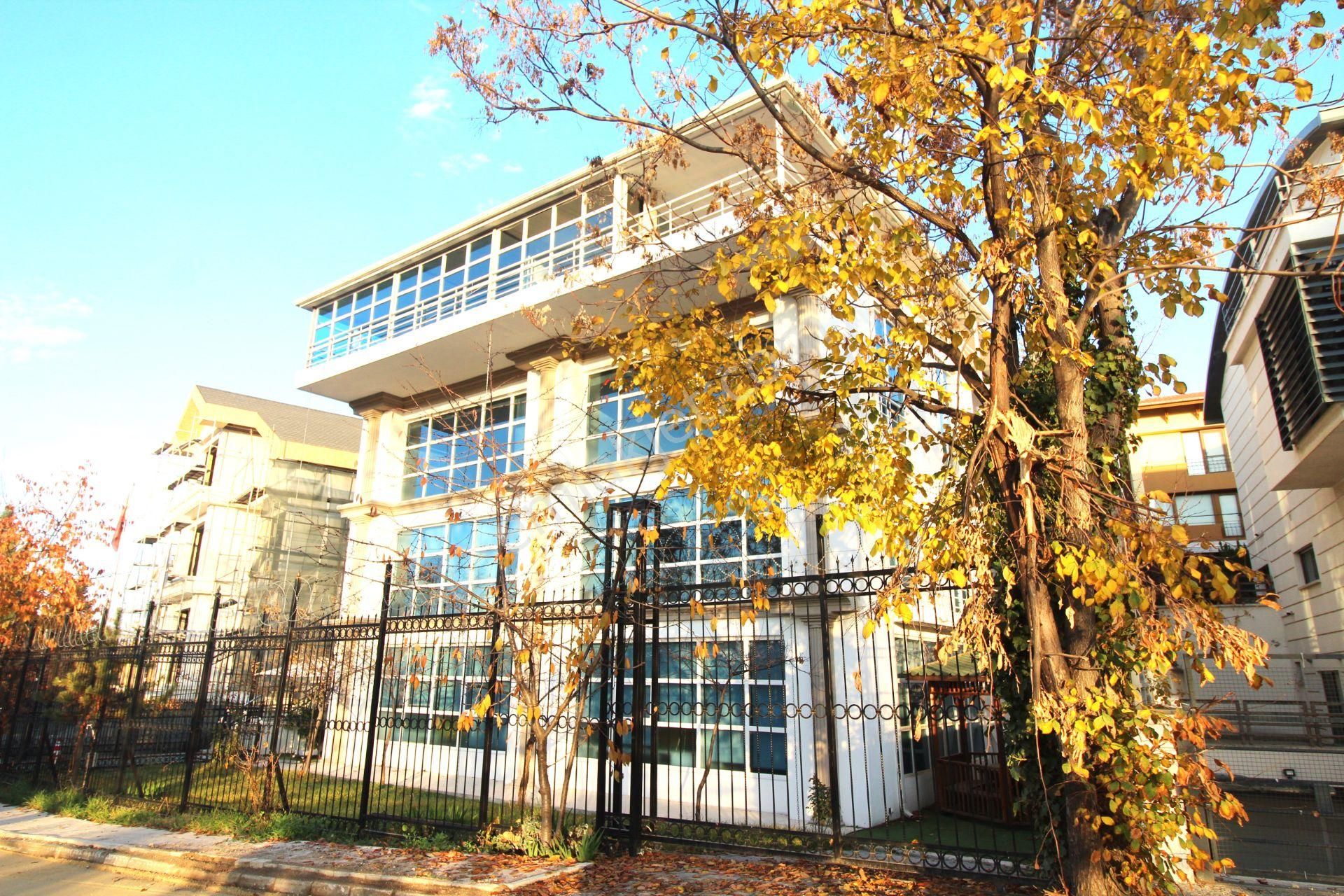 Kiralık Komple Bina 1600m2 4 Katlı Mesa Koru Çankaya - Görsel 3