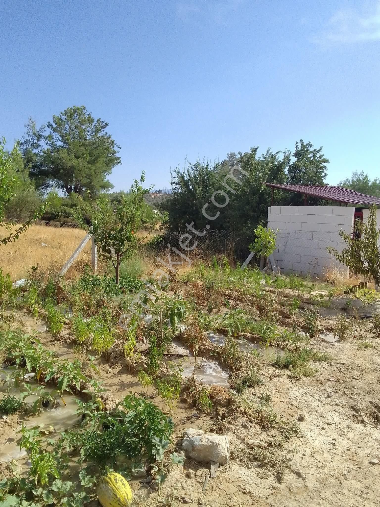 Bal Gayrimenkul - Akçaköyde Herşeyi Hazır Hisse Tapulu 340 M2 Bahçe - Görsel 15