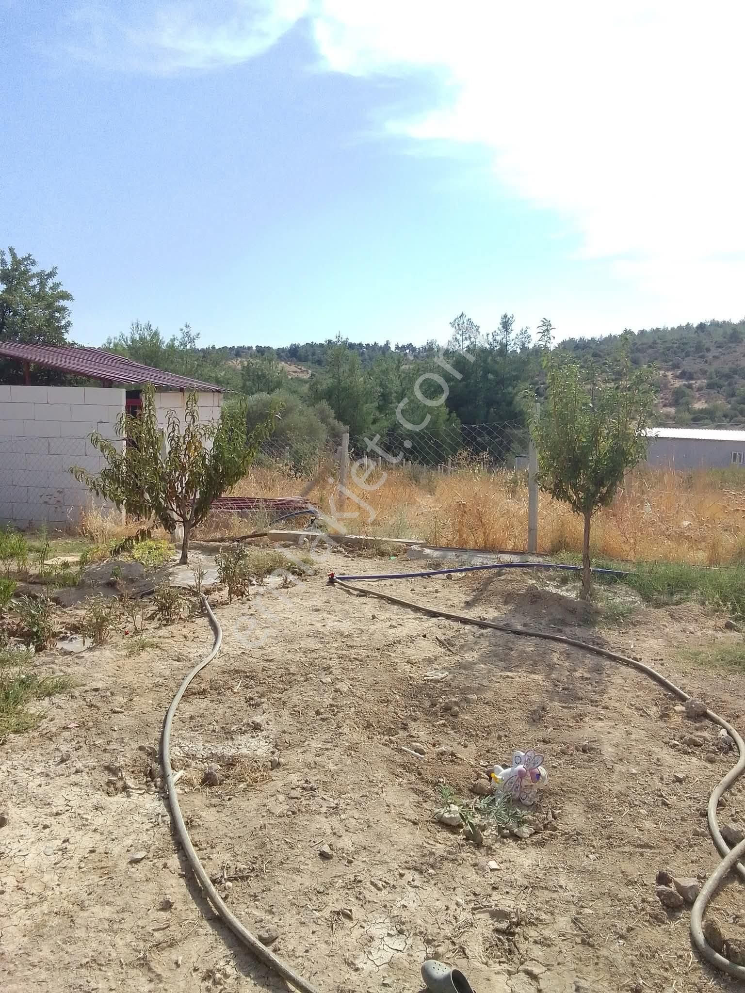 Bal Gayrimenkul - Akçaköyde Herşeyi Hazır Hisse Tapulu 340 M2 Bahçe - Görsel 9