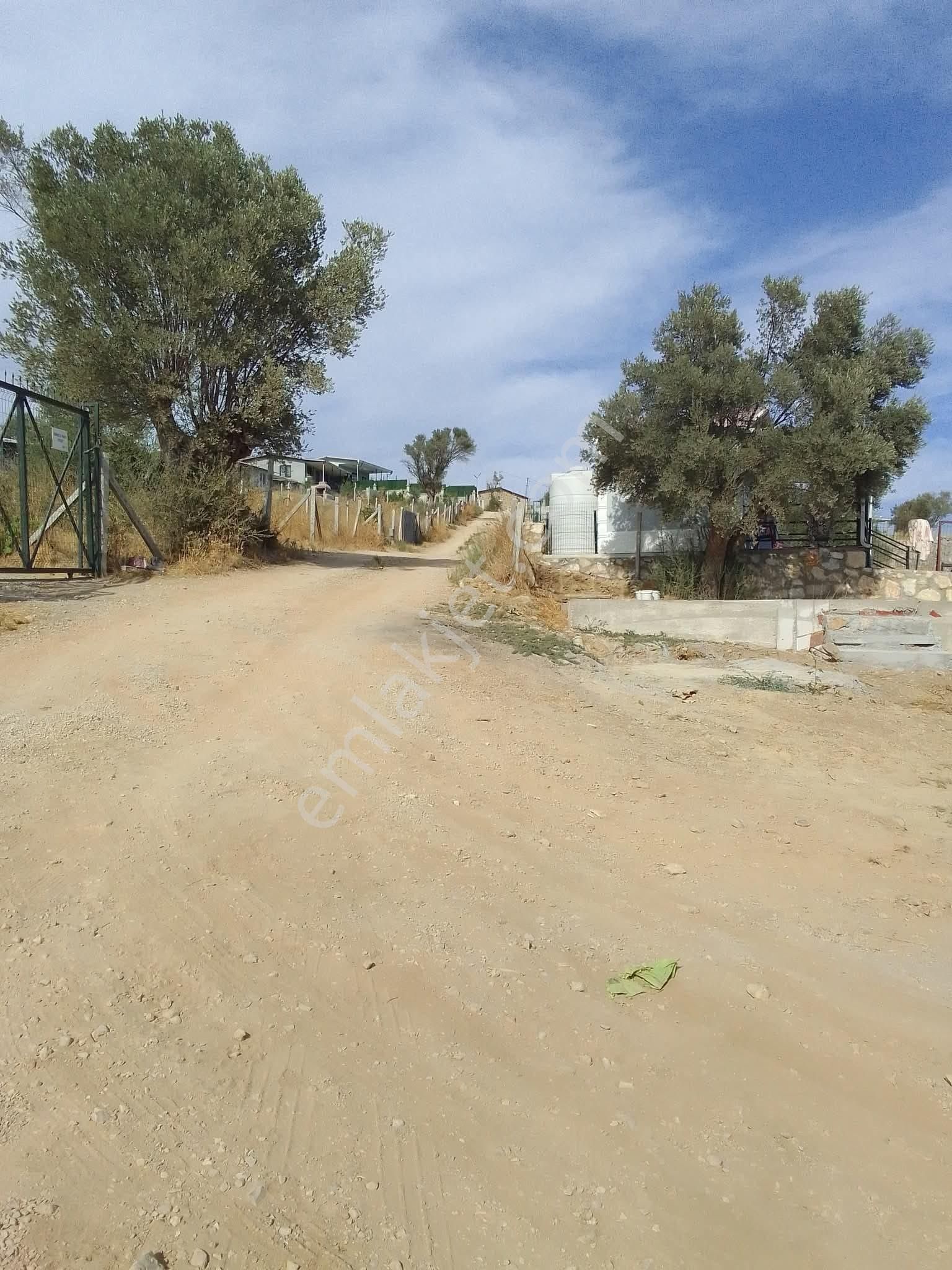 Bal Gayrimenkul - Akçaköyde Herşeyi Hazır Hisse Tapulu 340 M2 Bahçe - Görsel 14