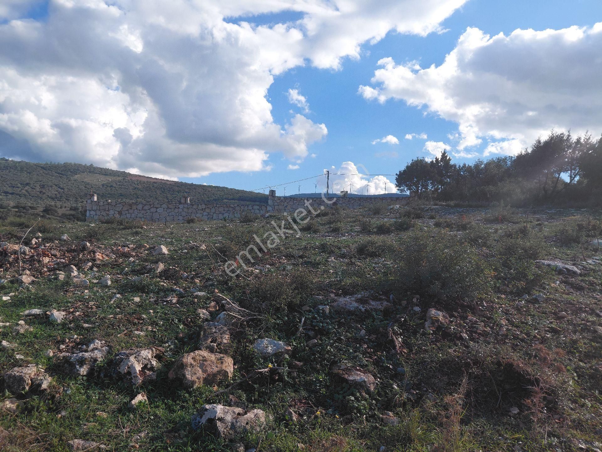 Didim Seyrentepe – Göl Manzaralı 590 M² Arsa! - Görsel 7