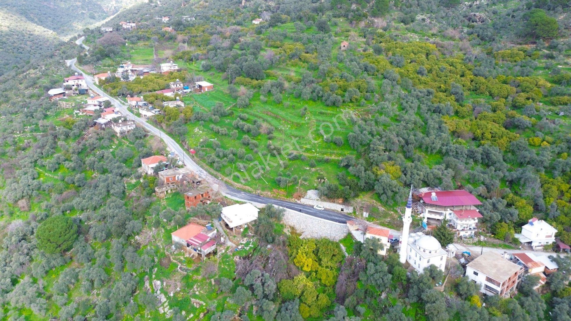 Milas Günlük Mahallesinde 1526 M² Satılık Köy İçi Arsa - Görsel 9