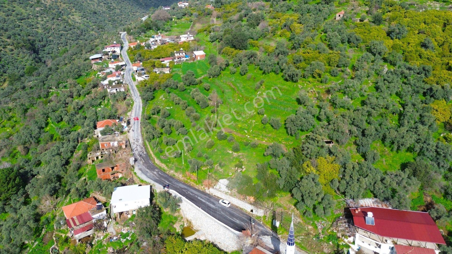 Milas Günlük Mahallesinde 1526 M² Satılık Köy İçi Arsa - Görsel 4