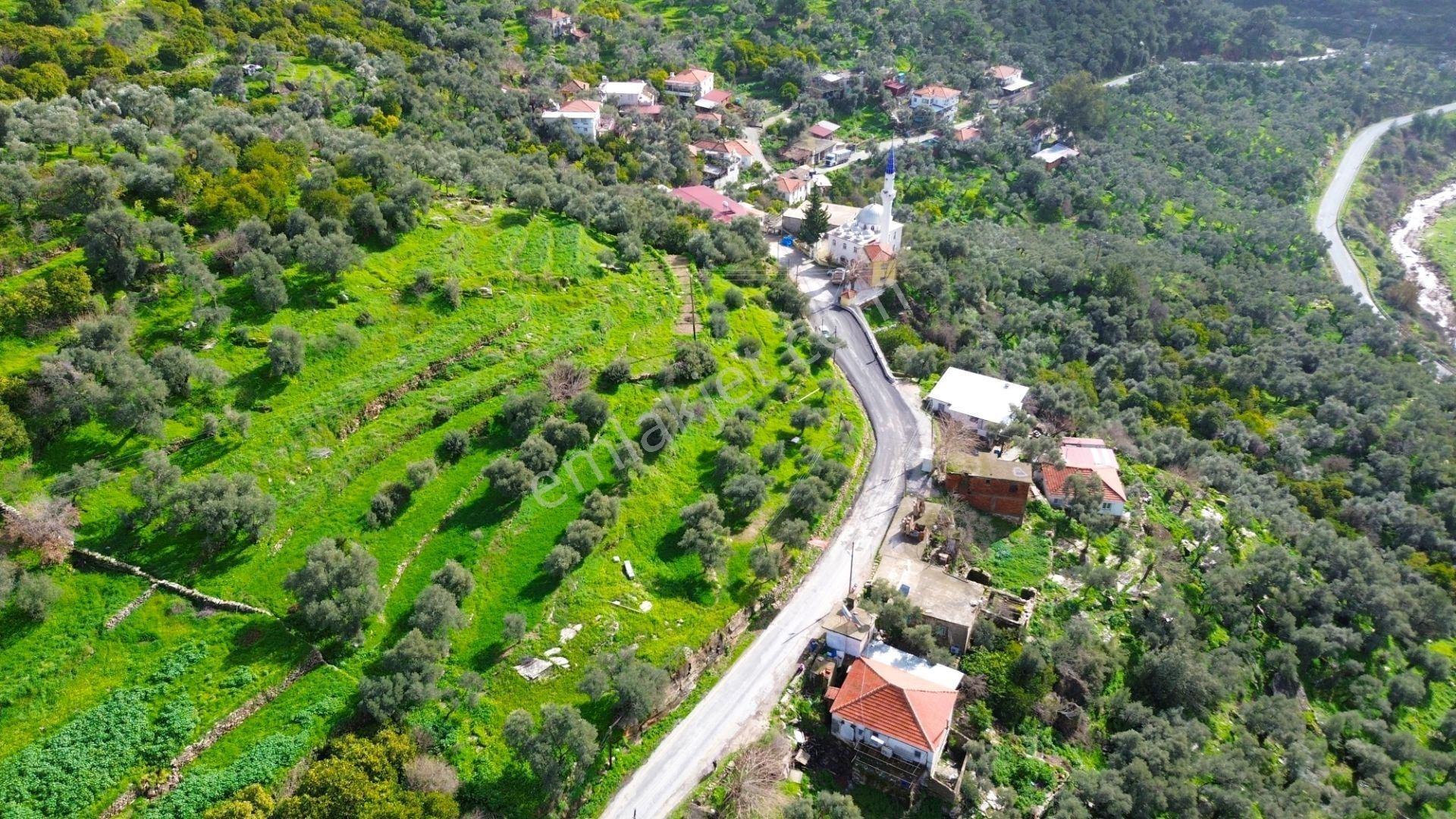 Milas Günlük Mahallesinde 1526 M² Satılık Köy İçi Arsa - Görsel 6