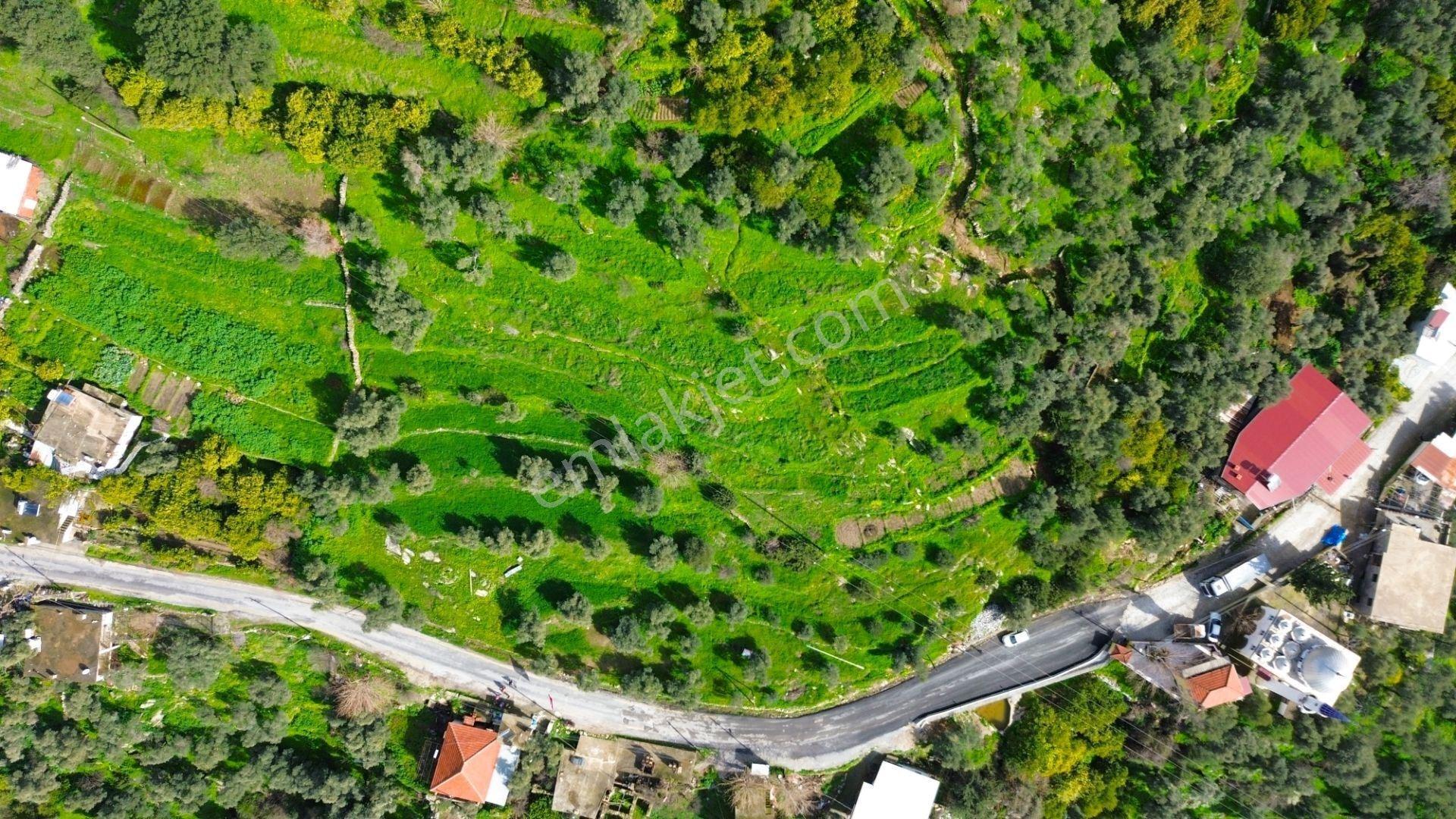 Milas Günlük Mahallesinde 1526 M² Satılık Köy İçi Arsa - Görsel 7