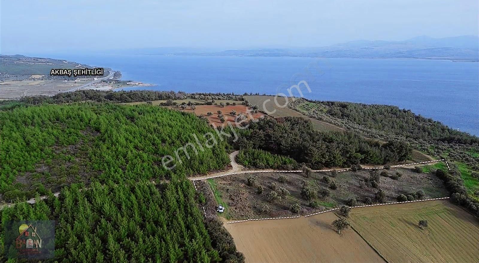 Gelin Çanakkale Yi Ve Çanakkale Bogazını Buradan İzleyiniz - Görsel 3