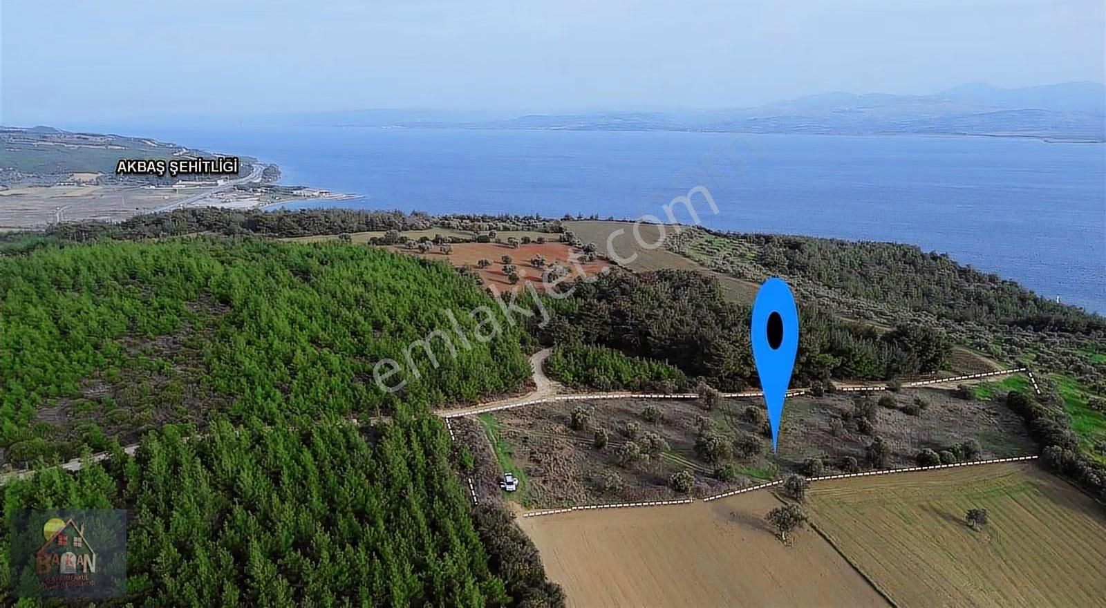 Gelin Çanakkale Yi Ve Çanakkale Bogazını Buradan İzleyiniz - Görsel 17