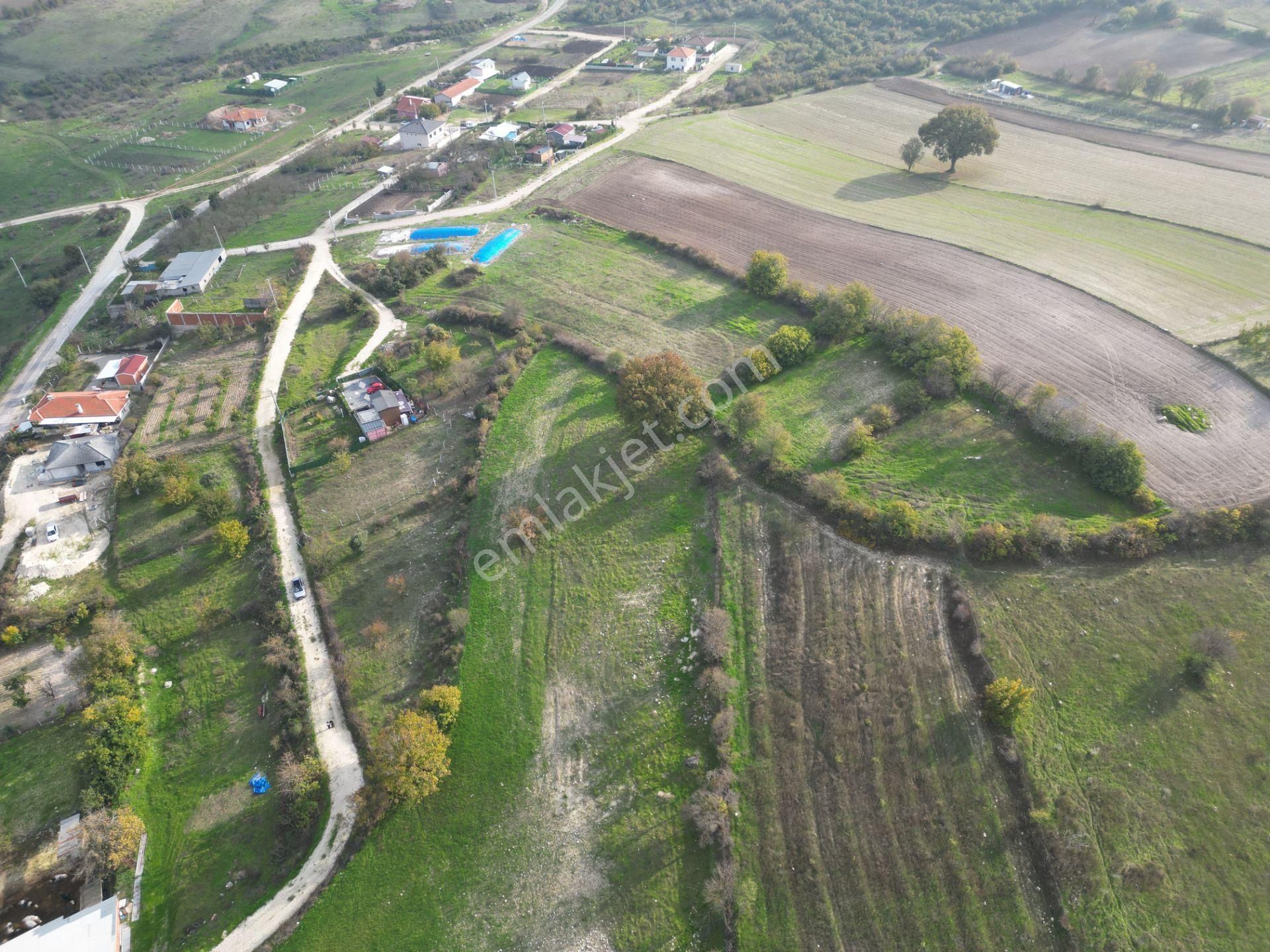 C21 Bal'dan Balıkesir Cinge Mh// Alt Yapısı Olan// 1288 M² Arsa - Görsel 13