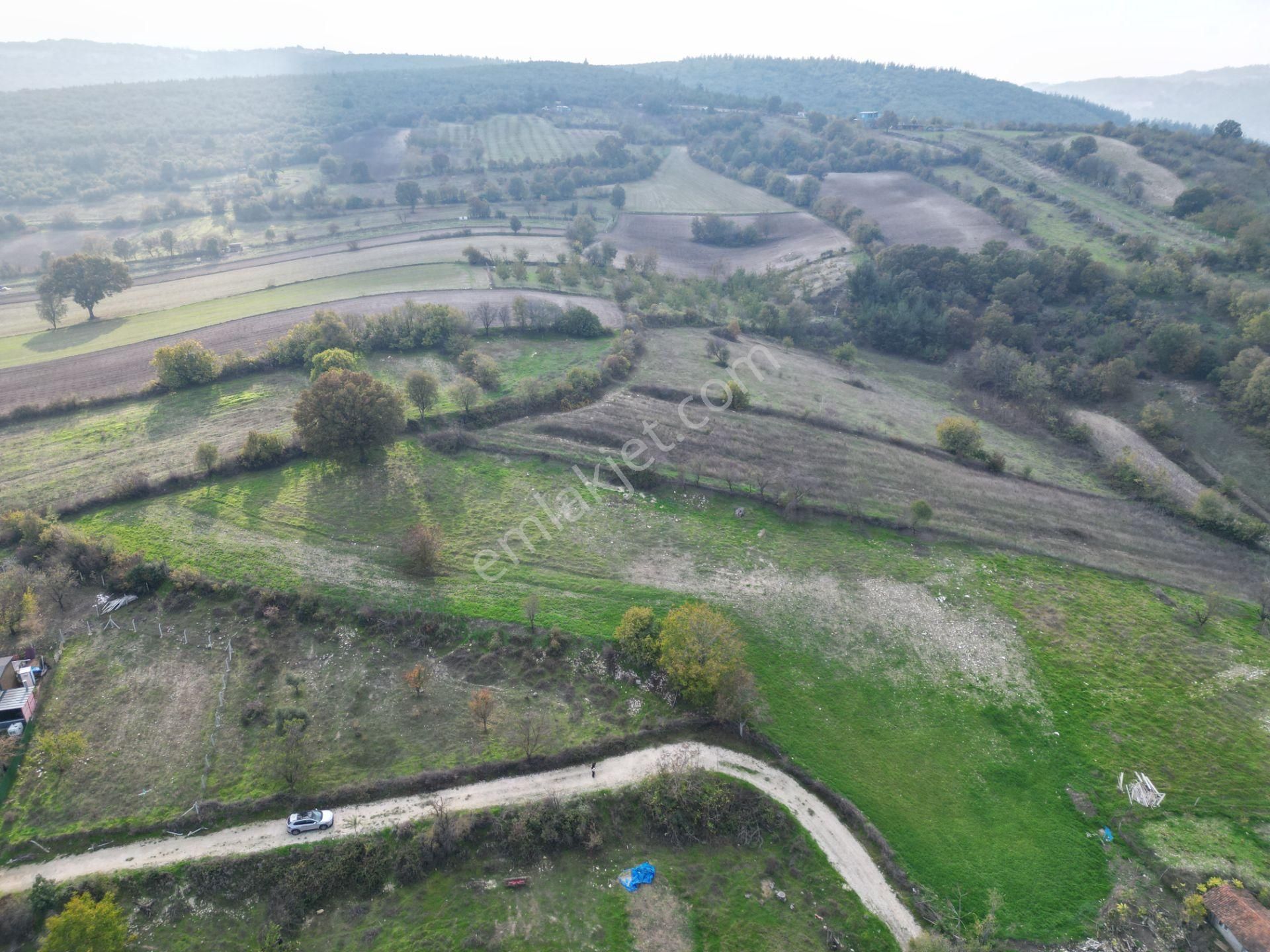 C21 Bal'dan Balıkesir Cinge Mh// Alt Yapısı Olan// 1288 M² Arsa - Görsel 11