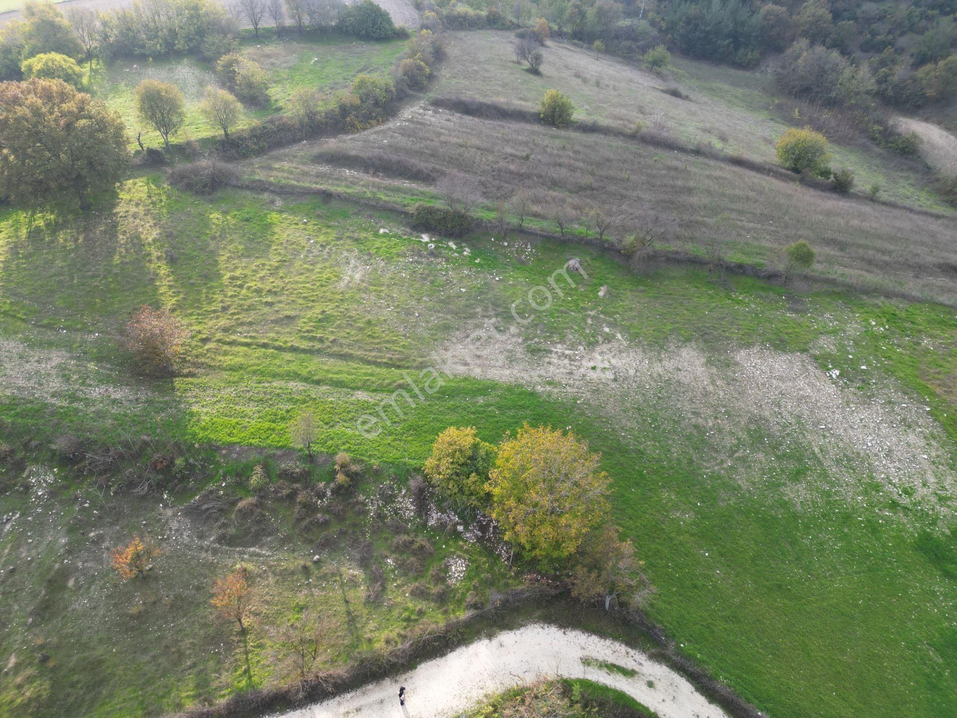 C21 Bal'dan Balıkesir Cinge Mh// Alt Yapısı Olan// 1288 M² Arsa - Görsel 10