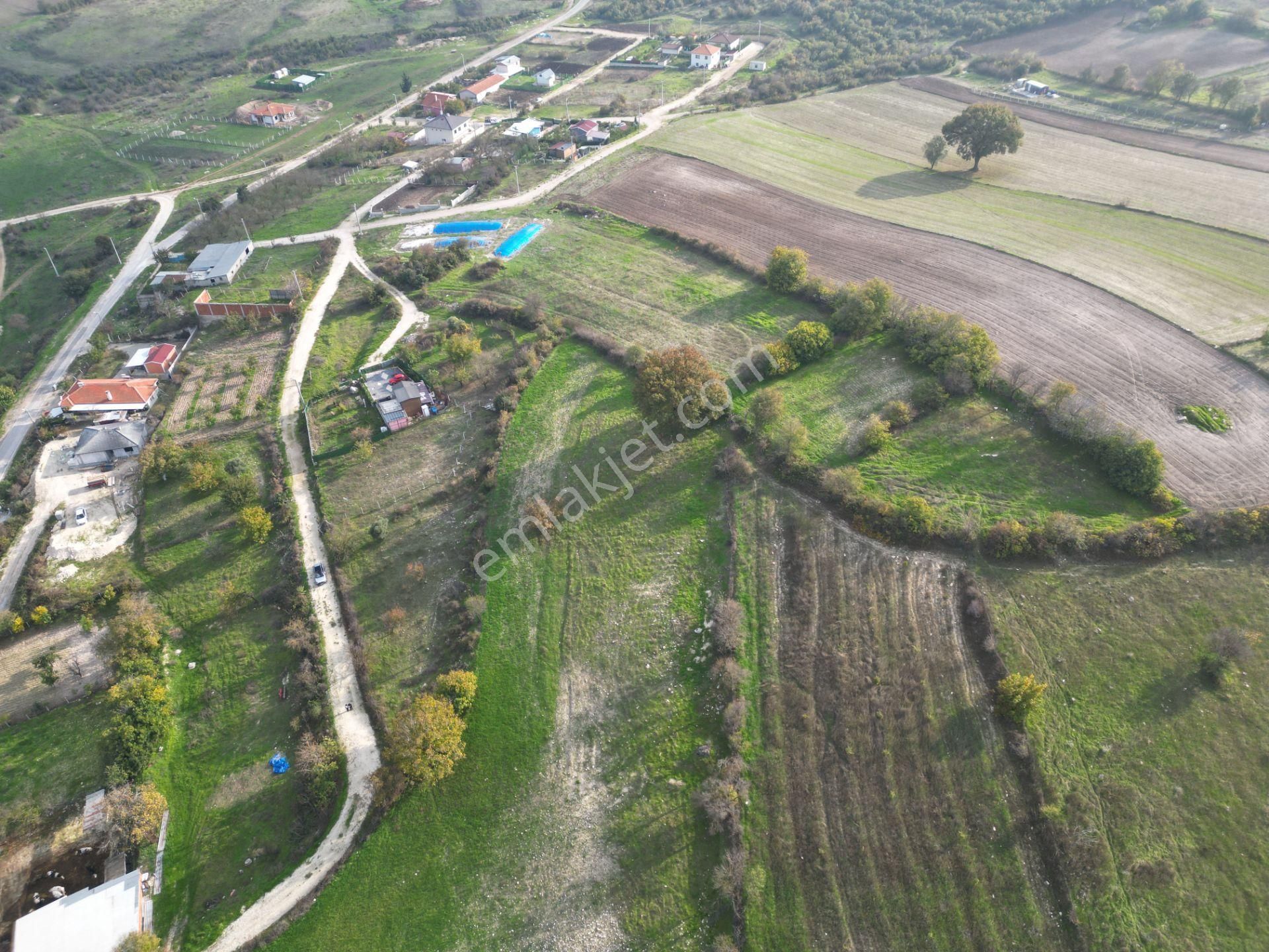 C21 Bal'dan Balıkesir Cinge Mh// Alt Yapısı Olan// 1288 M² Arsa - Görsel 14