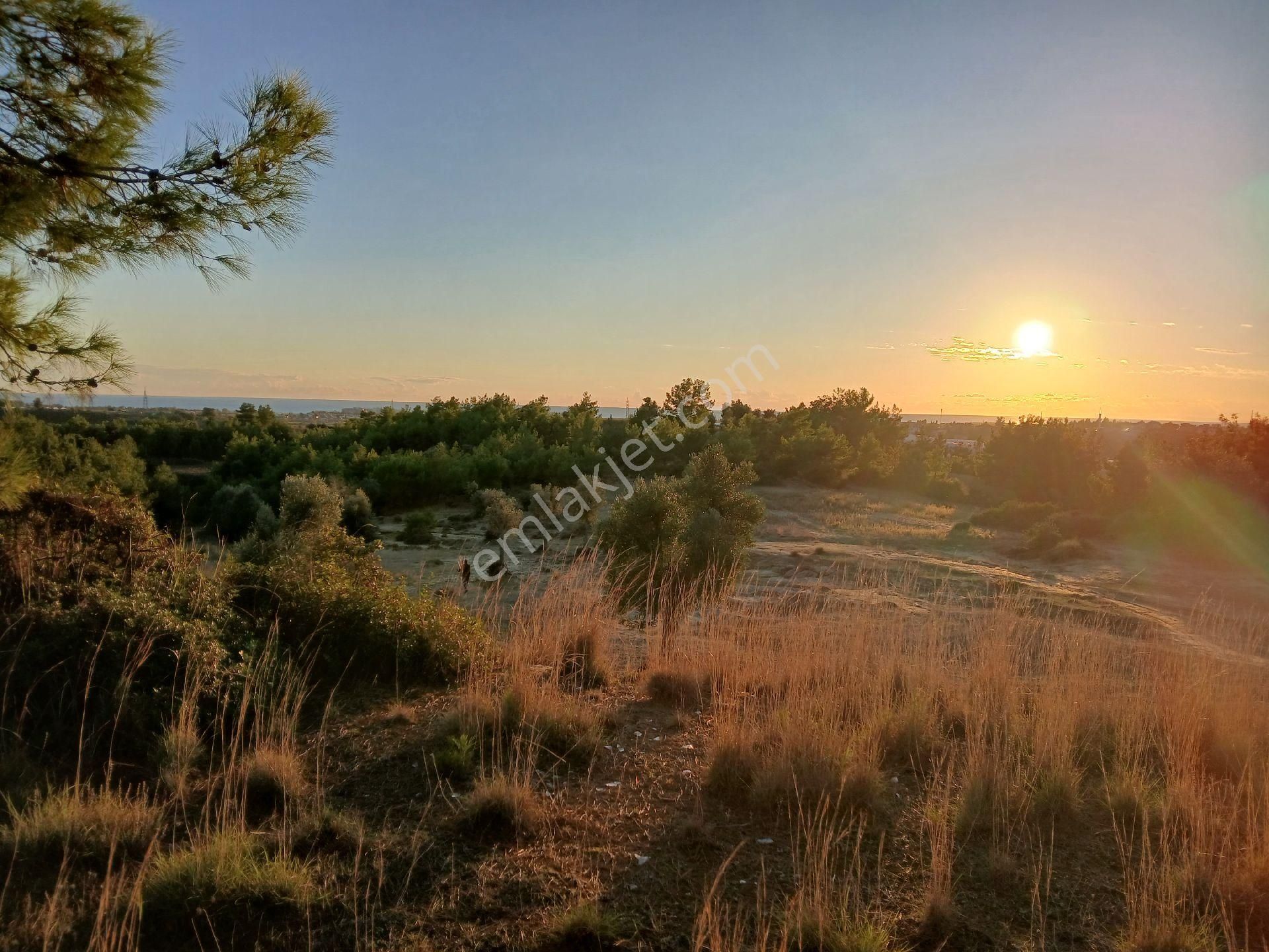 Denize 3.5 Km. Full Deniz Manzaralı Kadostro Yola 60 Mt.cwphe Tek Tapu Tarla - Görsel 21