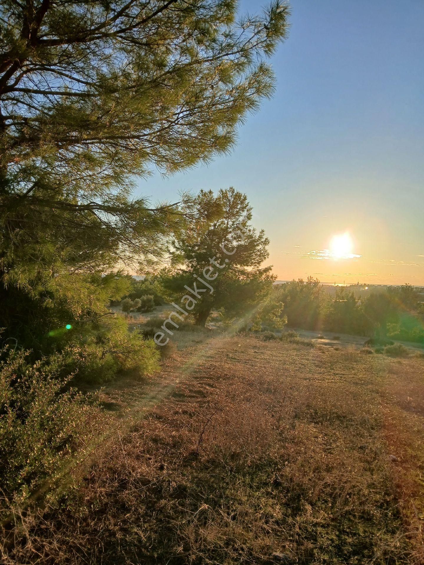 Denize 3.5 Km. Full Deniz Manzaralı Kadostro Yola 60 Mt.cwphe Tek Tapu Tarla - Görsel 9