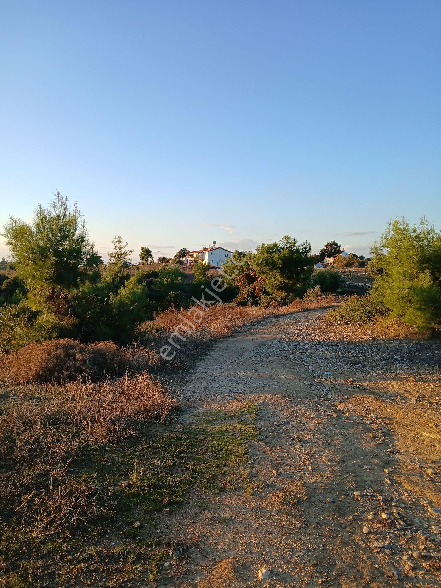 Denize 3.5 Km. Full Deniz Manzaralı Kadostro Yola 60 Mt.cwphe Tek Tapu Tarla - Görsel 10