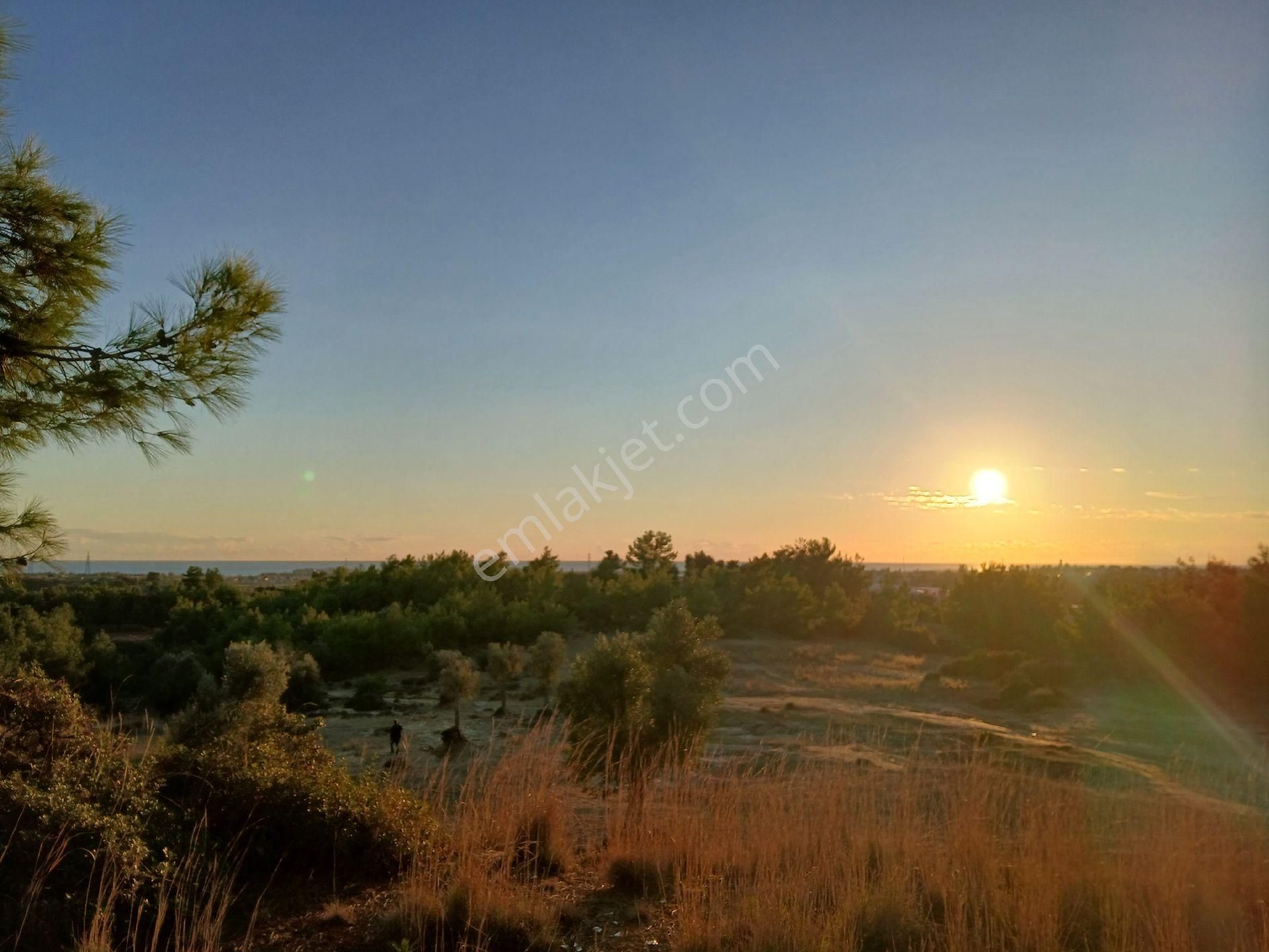 Denize 3.5 Km. Full Deniz Manzaralı Kadostro Yola 60 Mt.cwphe Tek Tapu Tarla - Görsel 20