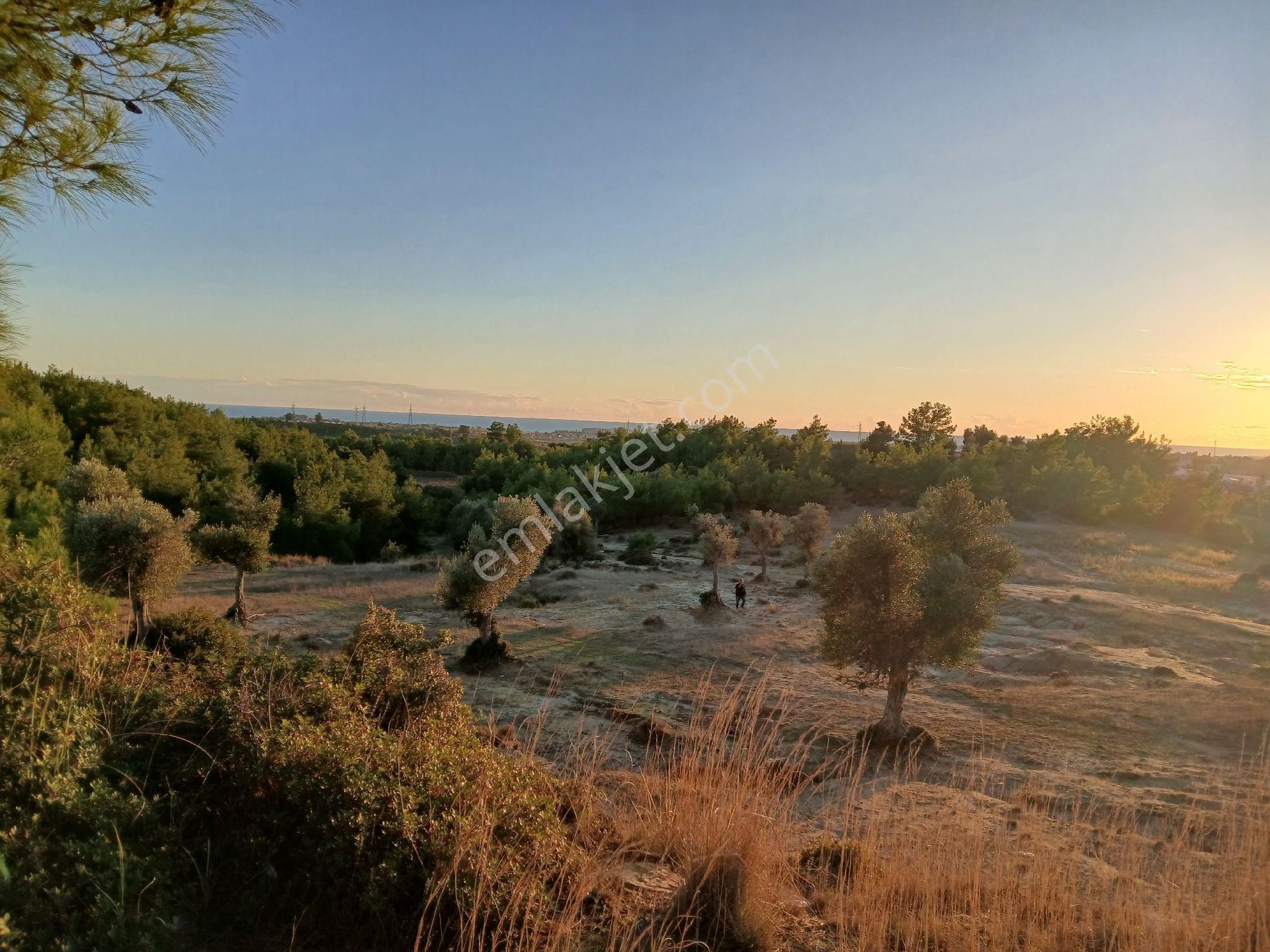 Denize 3.5 Km. Full Deniz Manzaralı Kadostro Yola 60 Mt.cwphe Tek Tapu Tarla - Görsel 22
