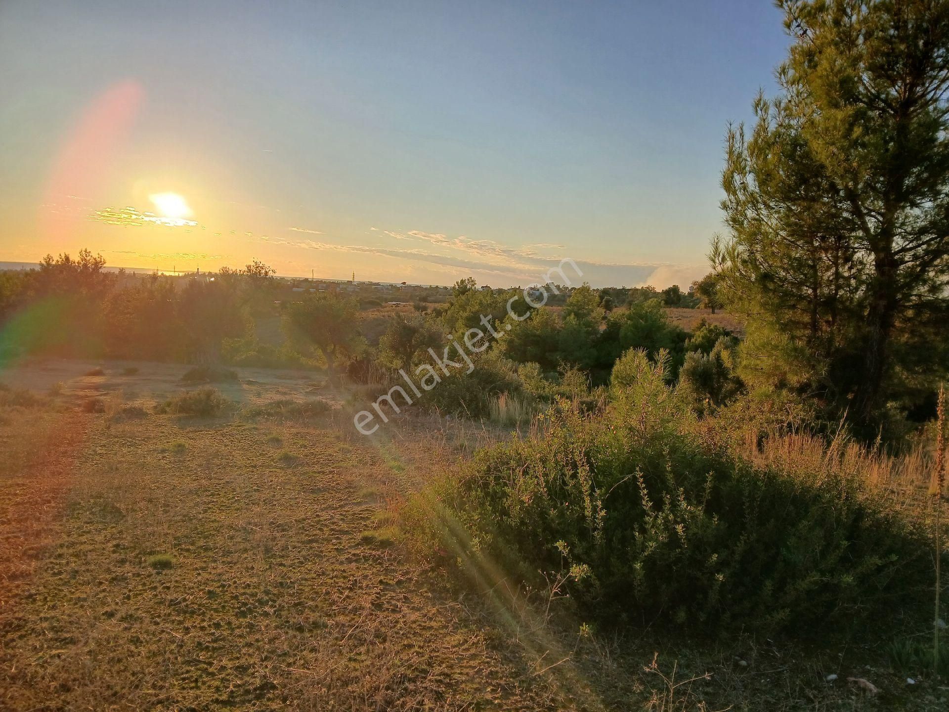 Denize 3.5 Km. Full Deniz Manzaralı Kadostro Yola 60 Mt.cwphe Tek Tapu Tarla - Görsel 23