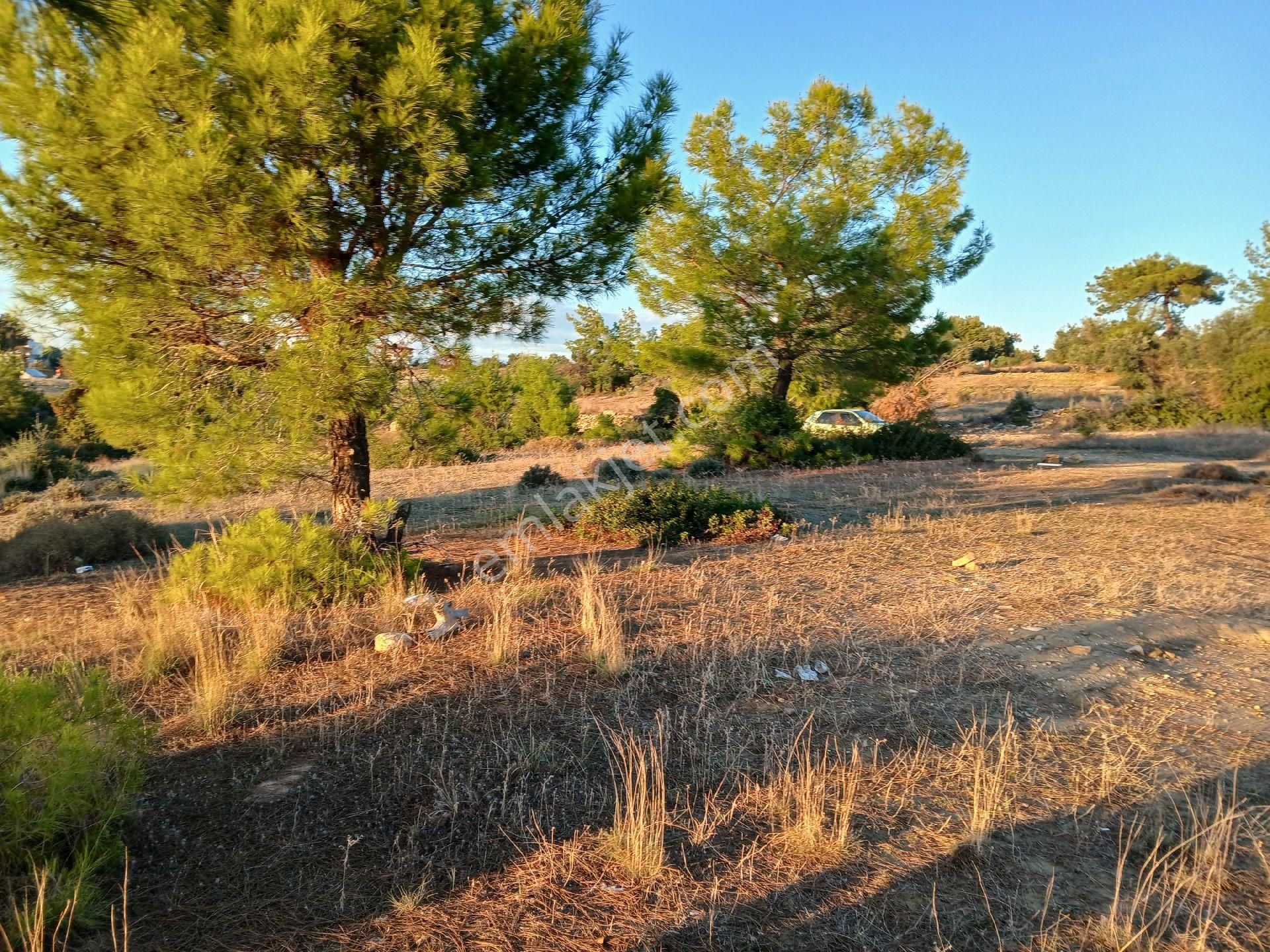 Denize 3.5 Km. Full Deniz Manzaralı Kadostro Yola 60 Mt.cwphe Tek Tapu Tarla - Görsel 4