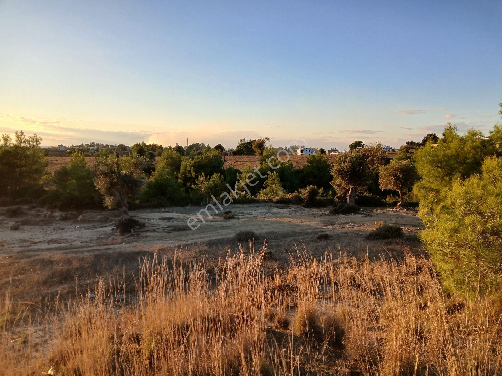 Denize 3.5 Km. Full Deniz Manzaralı Kadostro Yola 60 Mt.cwphe Tek Tapu Tarla - Görsel 19