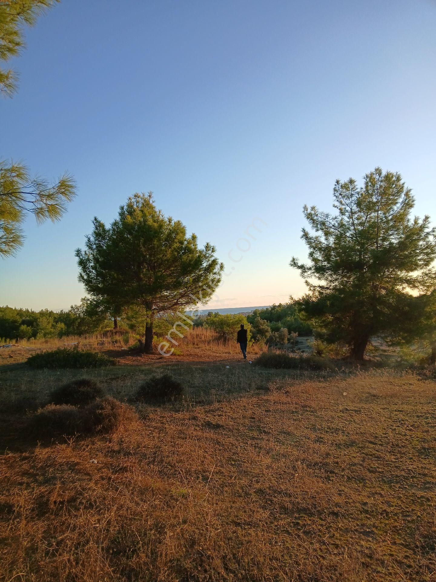 Denize 3.5 Km. Full Deniz Manzaralı Kadostro Yola 60 Mt.cwphe Tek Tapu Tarla - Görsel 24
