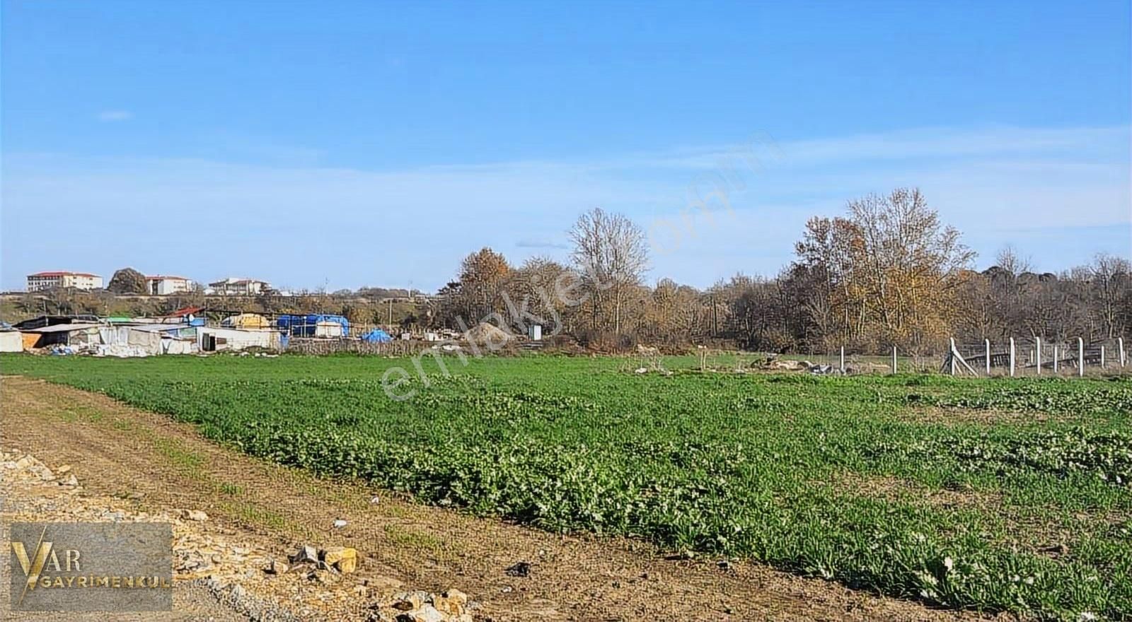 Çerkezköy Ambardere'de Orman Cephe 800m2 Villa Parseli - Görsel 4