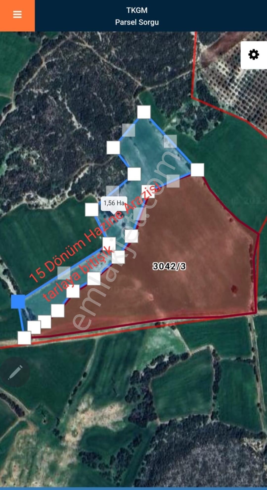 Aydın Didim'de 320m Kadastral Yol Cepheli 35 Dönüm Satılık Tarla - Görsel 14