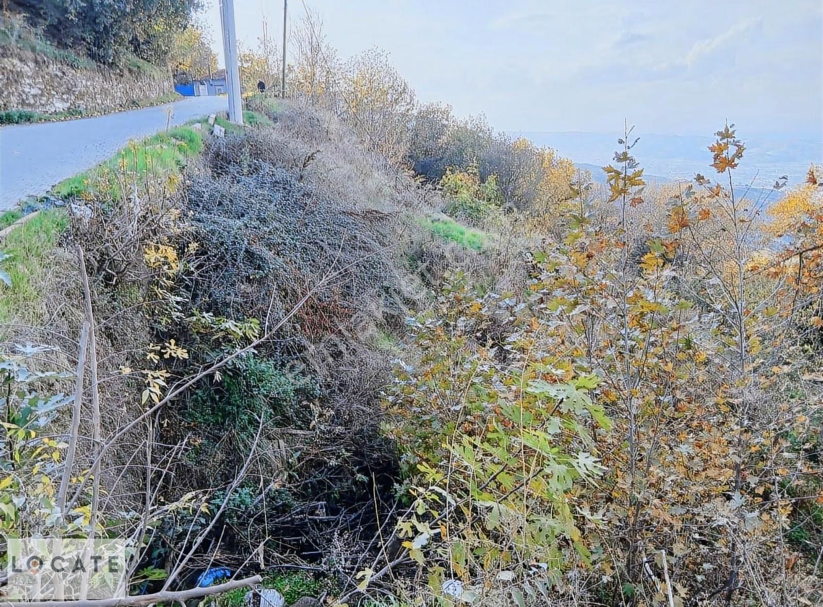Tire Cambazlıda Köy Merkezi Yola Sıfır İmarlı Satılık Arsa - Görsel 3