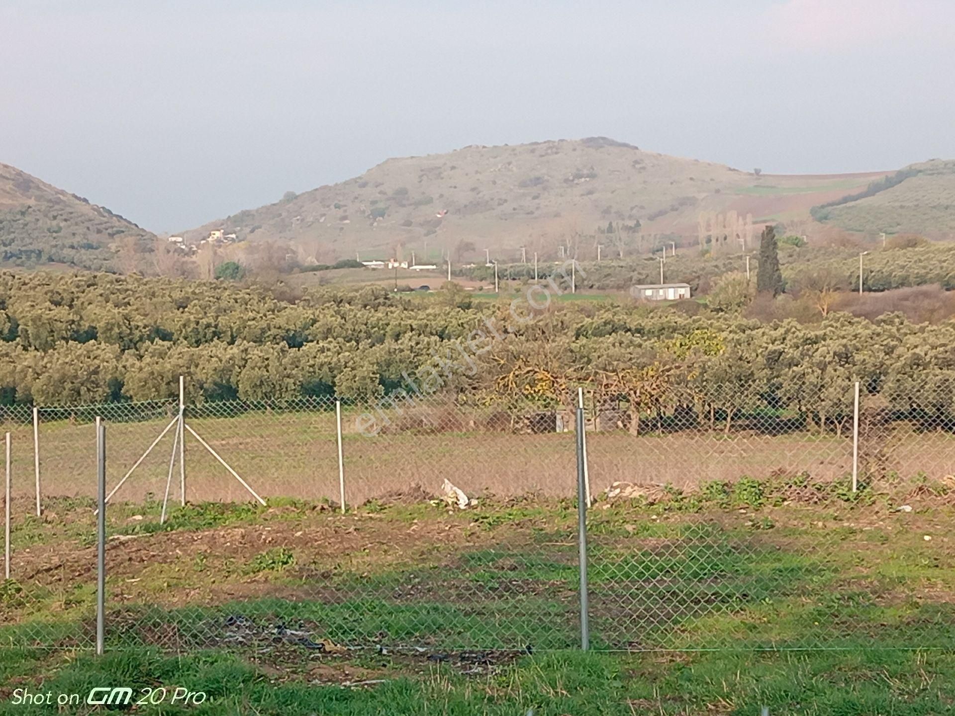 Mudanya Yalıçiftlik Satılık Parseller - Görsel 3