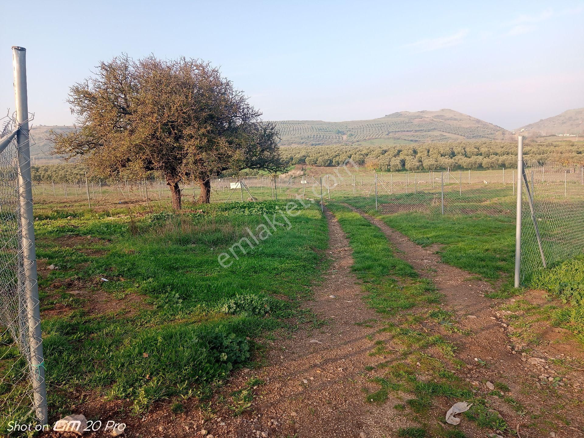 Mudanya Yalıçiftlik Satılık Parseller