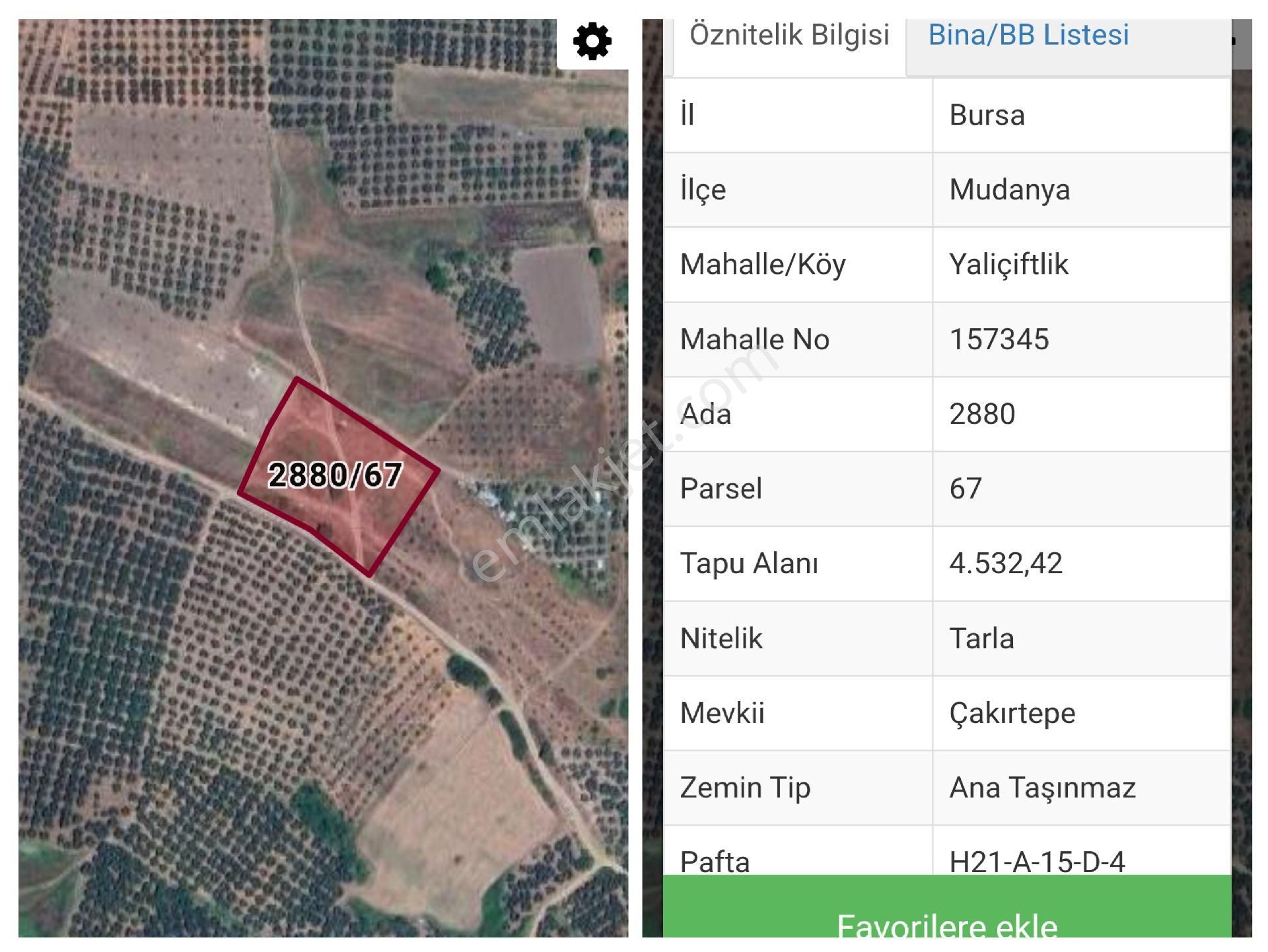 Mudanya Yalıçiftlik Satılık Parseller - Görsel 16